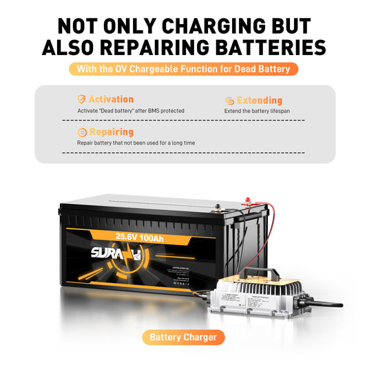29.2V 30A LiFePO4 Battery Charger for 25.6V(24V) Batteries, 0V BMS Activation, Waterproof Charger for Golf Carts, Boats, and RVs, with Full Protection